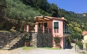 L' Arenella